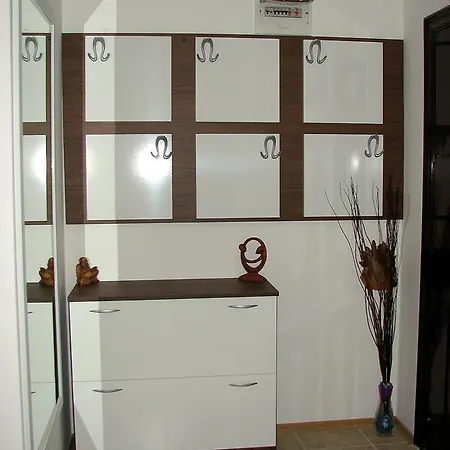 شقة Two-bedroom Donika تساريفو